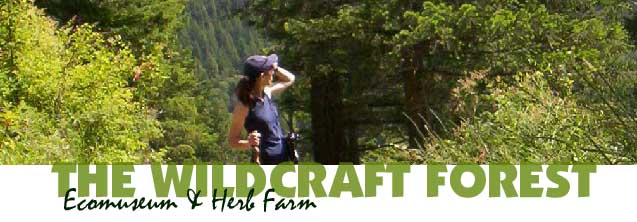 The Wildcraft Forest Ecomuseum & Herb Farm